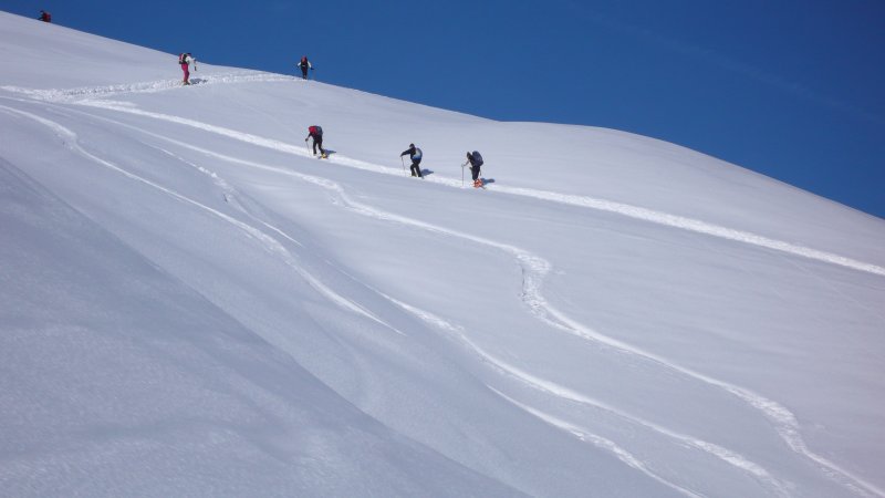 schollenhorn-2732m-27-1-2013-010